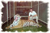 CKtiger (9K)