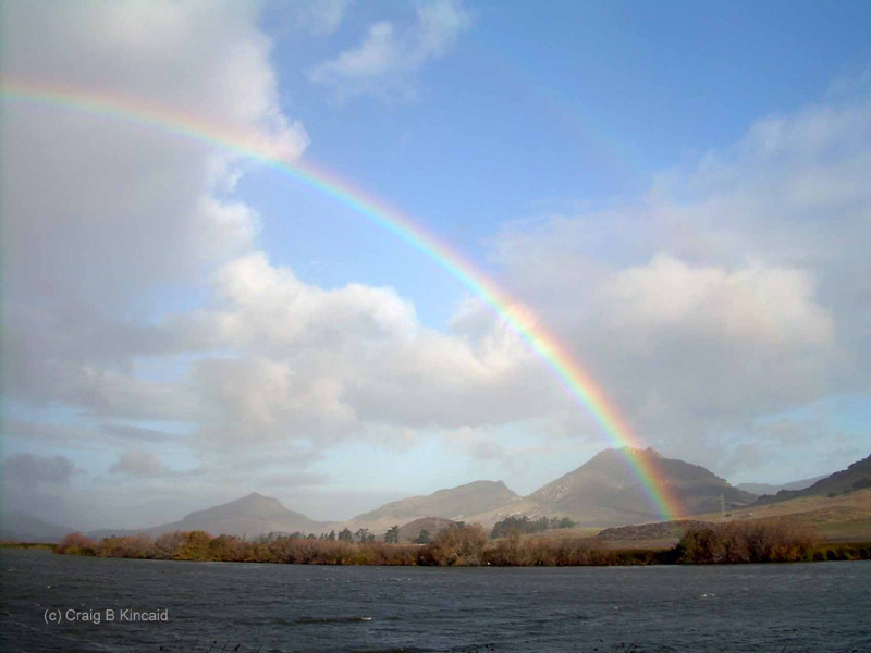Rainbow
